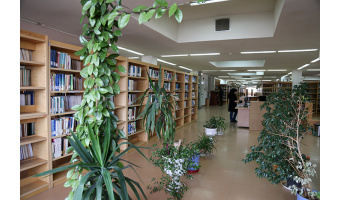 Faculty of Law and Social Sciences